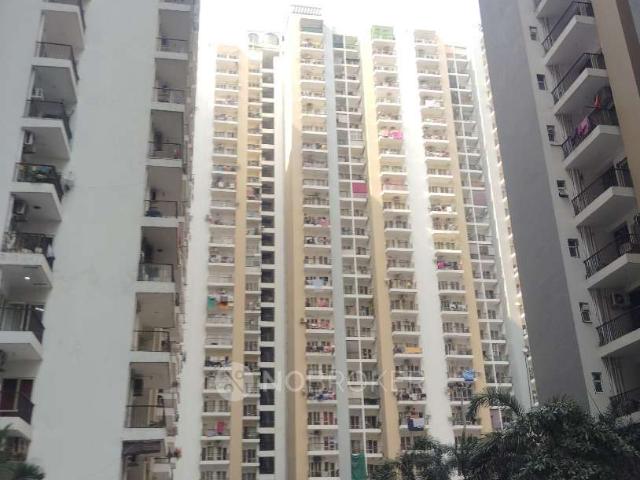 3 BHK Flat In Panchsheel Greens for Rent In Sector 16b