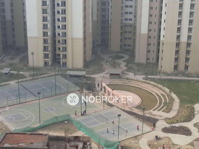 3 BHK Flat In Paras Tierea For Sale In Sector 137