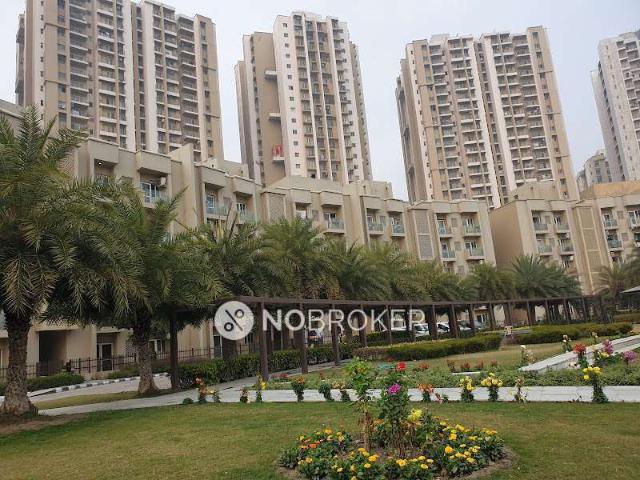 3 BHK Flat In Paras Tierea For Sale In Sector 137
