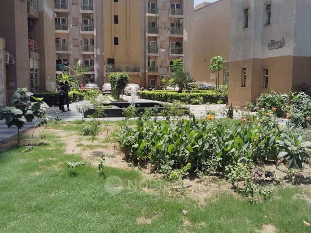 3 BHK Flat In Paras Tierea For Sale In Sector 137