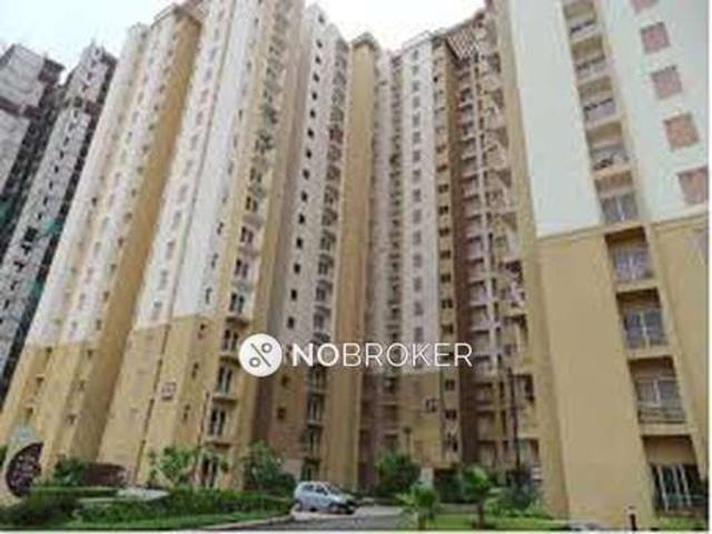 3 BHK Flat In Paras Tierea for Rent In Sector 137
