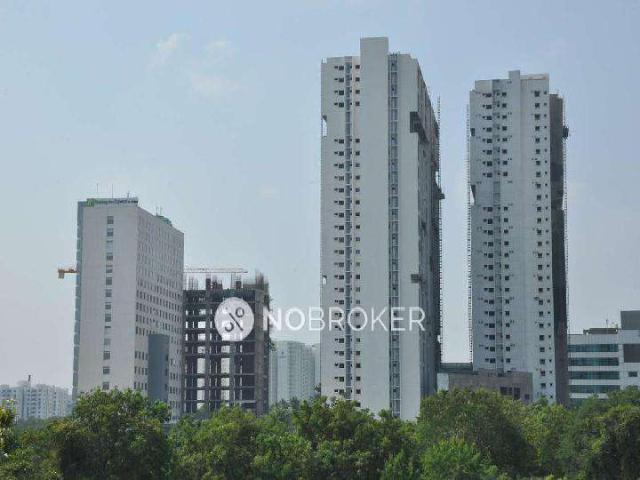 3 BHK Flat In Phoenix Golfedge Residences for Rent In Gachi