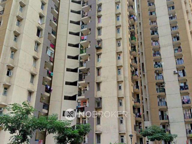 3 BHK Flat In Pigeon Spring Meadows For Sale In Noida Extension, Noida