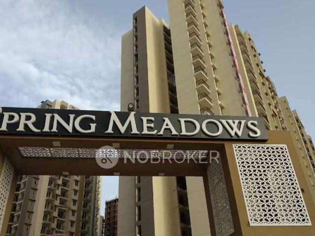 3 BHK Flat In Pigeon Spring Meadows for Rent In Patwari