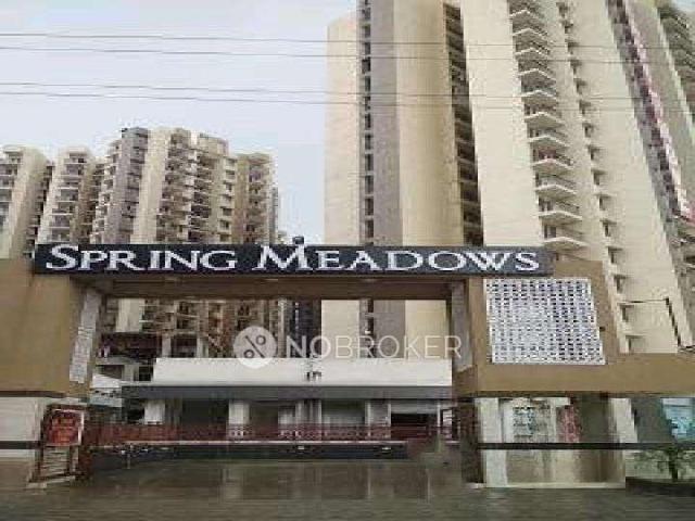 3 BHK Flat In Pigeon Spring Meadows for Rent In Patwari