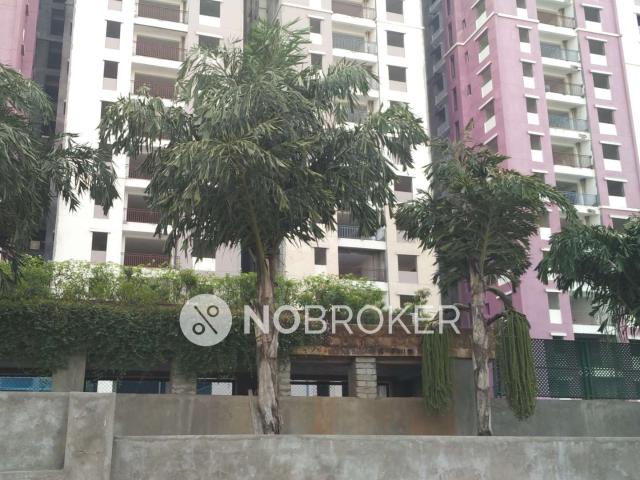 3 BHK Flat In Prajay Megapolis for Rent In Kukatpally