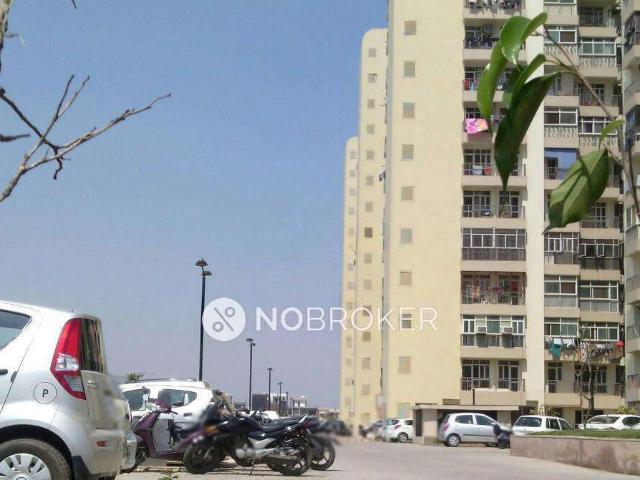 3 BHK Flat In Prateek Laurel, Sector 120 for Rent In Sector 120