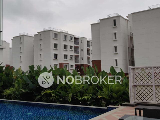 3 BHK Flat In Prestige Kew Gardens for Rent In Bellandur