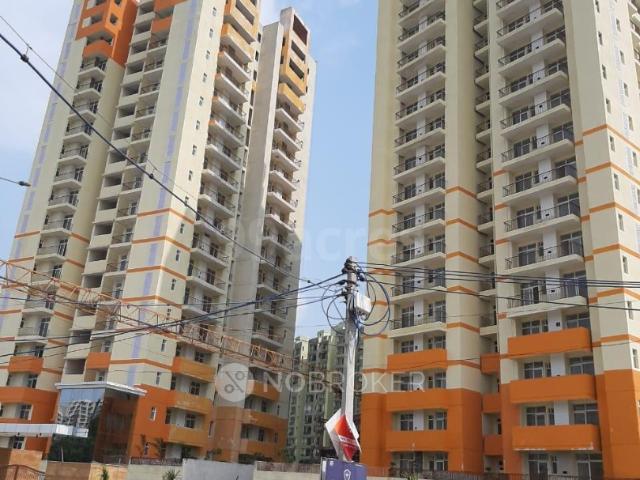 3 BHK Flat In Rajhans Residency for Rent In Bisrakh