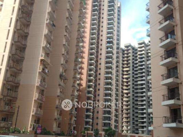 3 BHK Flat In Rg Luxury Homes For Sale In Sector 16b