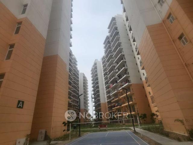 3 BHK Flat In Rof Amaltas for Rent In Sector 91