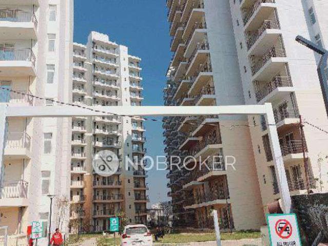3 BHK Flat In Rof Amaltas For Sale In Sector 91