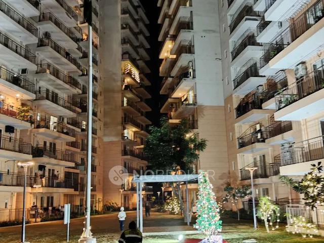 3 BHK Flat In Rof Amaltas For Sale In Sector 92