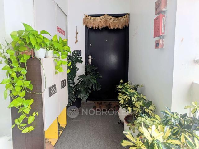 3 BHK Flat In Rohan Jharoka for Rent In Bellandur