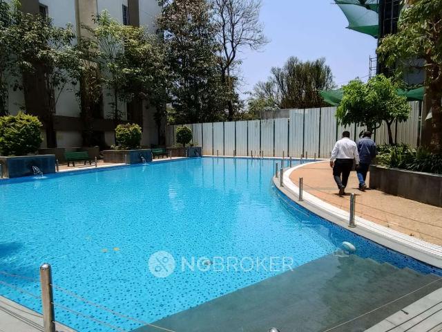 3 BHK Flat In Rohan Tarang Co operative Housing Society for Rent In Wakad, Pune