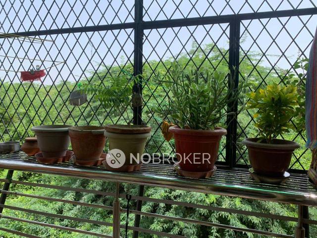 3 BHK Flat In Royal Complex For Sale In Mehrauli