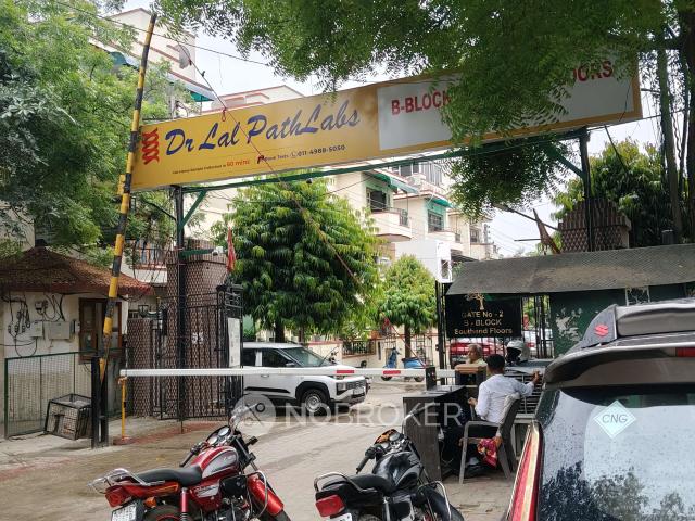 3 BHK Flat In Standlone Building for Rent In Sector 49