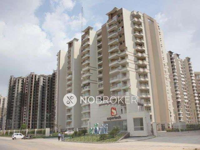 3 BHK Flat In Supertech Ecociti For Sale In Sector 137