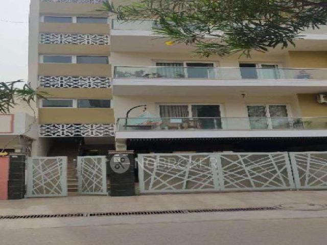 3 BHK Flat In Sb for Rent In Sector 41