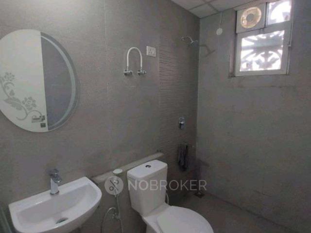 3 BHK Flat In Signature Global City 37d for Rent In Sector 37d
