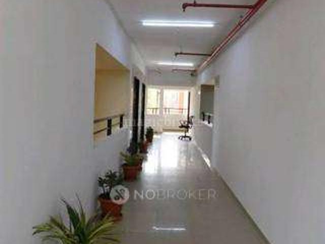 3 BHK Flat In Smondo Gachibowli for Rent In Gachibowli