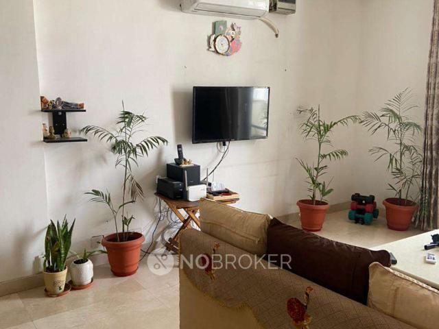 3 BHK Flat In Ss Almeria, Sector 84 for Rent In Sector 84
