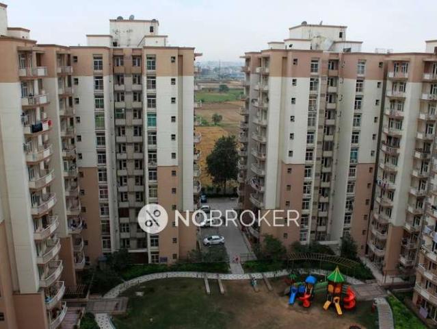 3 BHK Flat In Tulip Petals for Rent In Sector 89