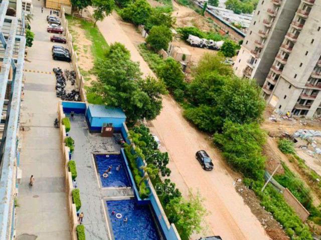 3 BHK Flat In Tulip White for Rent In Sector 69