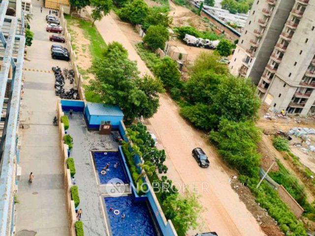 3 BHK Flat In Tulip White, Sector 69 for Rent In Sector 69