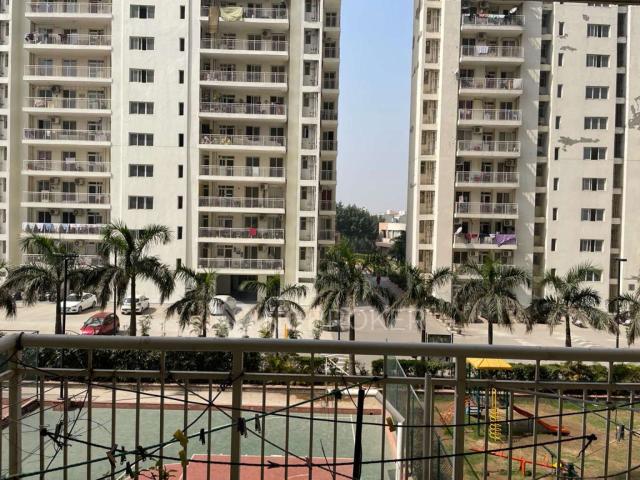 3 BHK Flat In The Coralwood for Rent In Coralwood Apartments