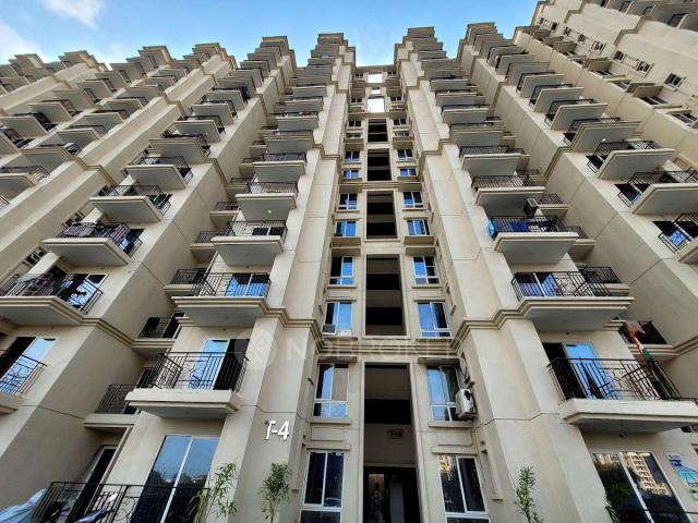 3 BHK Flat In The Millennia 1 37d for Rent In Sector 37d