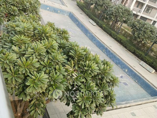 3 BHK Flat In Unitech Horizon For Sale In Sector Pi I Ii