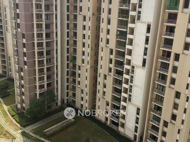 3 BHK Flat In Unitech Horizon for Rent In Unitech Horizon