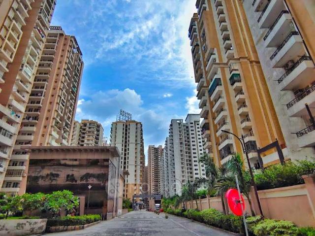 3 BHK Flat In Wall Rock Aishwaryam for Rent In Sector 16c