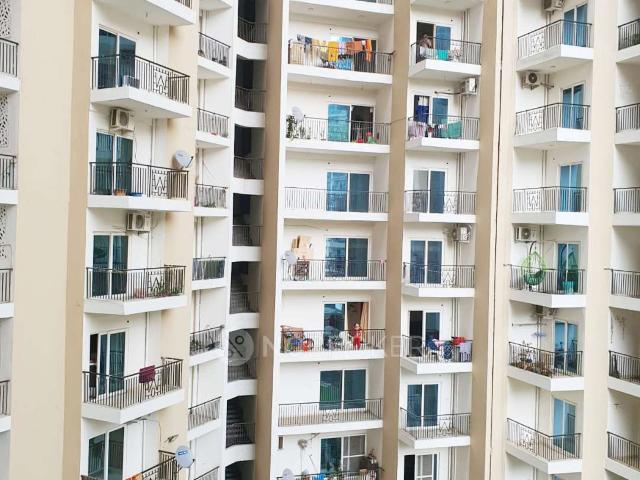 3 BHK Flat In White Orchid for Rent In Gaur City 2