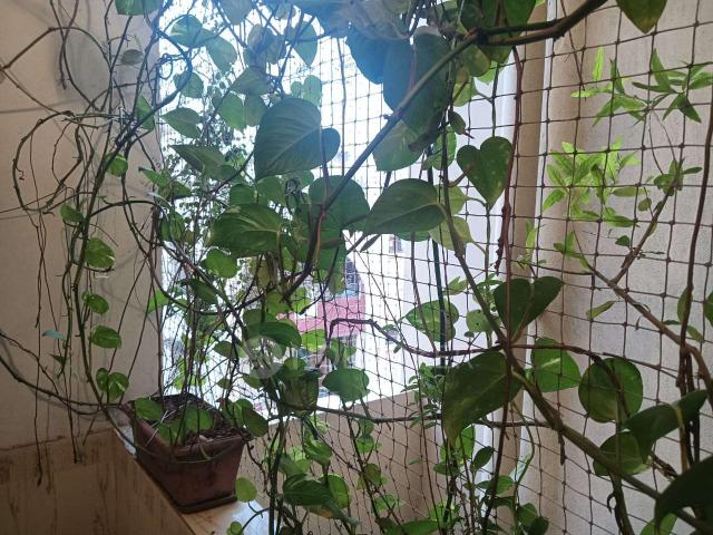 3 BHK Flat In Yashodhara Castle Apartments For Sale In Nizampet