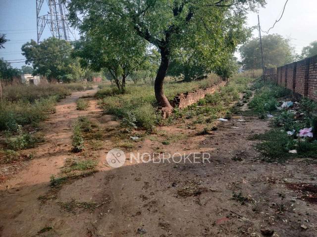 3 BHK House for Rent In Sector 34