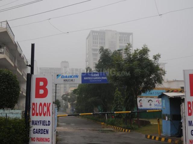 3 BHK Independent Builder Floor in Mayfield Garden for resale Gurgaon. The reference number is 19948308