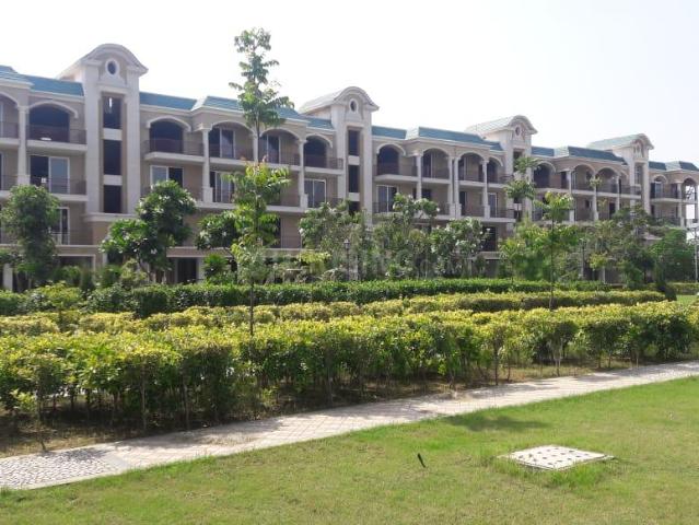 3 BHK Independent Builder Floor in New Chandigarh for resale Chandigarh. The reference number is 20674081