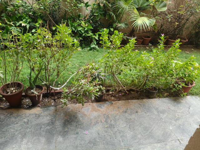 3 BHK Independent Builder Floor in Defence Colony for rent New Delhi. The reference number is 20606506