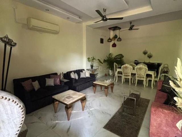 3 BHK Independent Builder Floor in DLF Phase 1 for rent Gurgaon. The reference number is 20235211