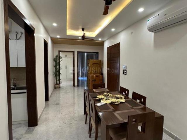 3 BHK Independent Builder Floor in DLF Phase 2 for rent Gurgaon. The reference number is 19792752