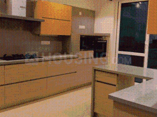 3 BHK Independent Builder Floor in DLF Phase 2 for rent Gurgaon. The reference number is 19946771