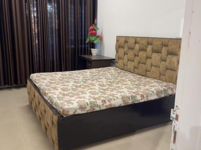 3 BHK Independent Builder Floor in DLF Phase 2 for rent Gurgaon. The reference number is 19998041