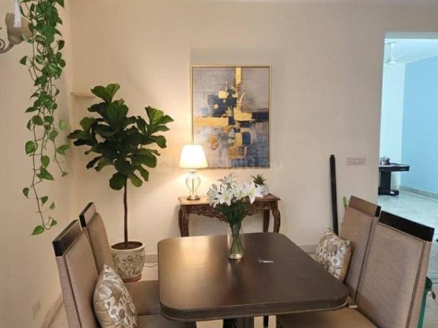 3 BHK Independent Builder Floor in DLF Phase 2 for rent Gurgaon. The reference number is 20469441