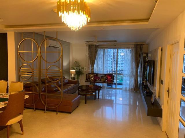 3 BHK Independent Builder Floor in DLF Phase 2 for rent Gurgaon. The reference number is 20890357