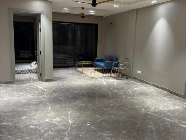 3 BHK Independent Builder Floor in DLF Phase 2 for rent Gurgaon. The reference number is 20080471