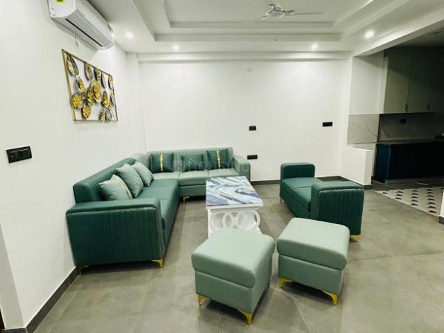 3 BHK Independent Builder Floor in DLF Phase 2 for rent Gurgaon. The reference number is 20295722
