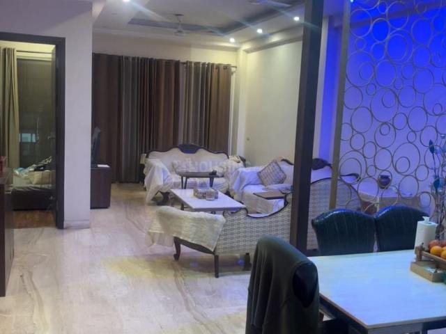 3 BHK Independent Builder Floor in DLF Phase 2 for resale Gurgaon. The reference number is 20756078
