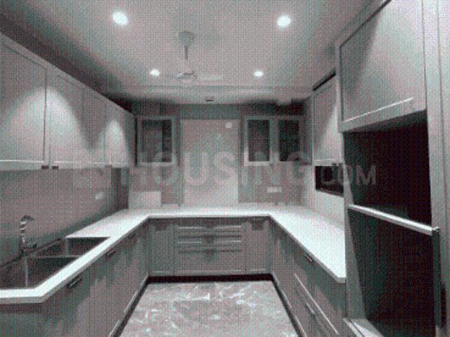 3 BHK Independent Builder Floor in DLF Phase 3 for rent Gurgaon. The reference number is 19946976